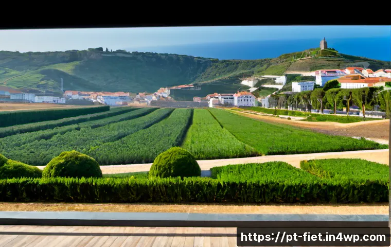 Sopas Flexitarianas para o Dia a Dia: 8 Combinações, Proteínas e Escolhas Práticas 4 플렉시테리언 식단에서의 다양한 스프 레시피 관련 이미지 2